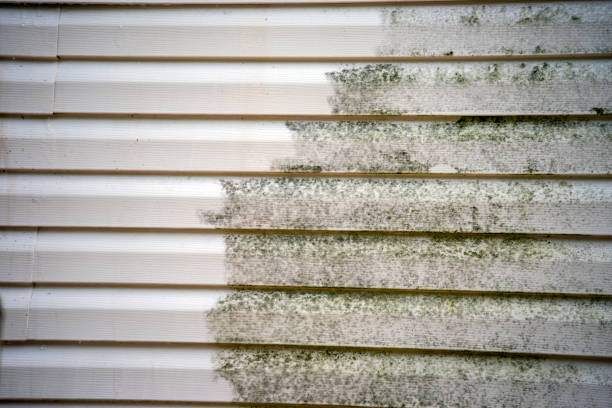 Best Fiber Cement Siding Installation  in Atlantic Highlands, NJ