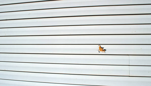 Best Siding for Multi-Family Homes  in Atlantic Highlands, NJ